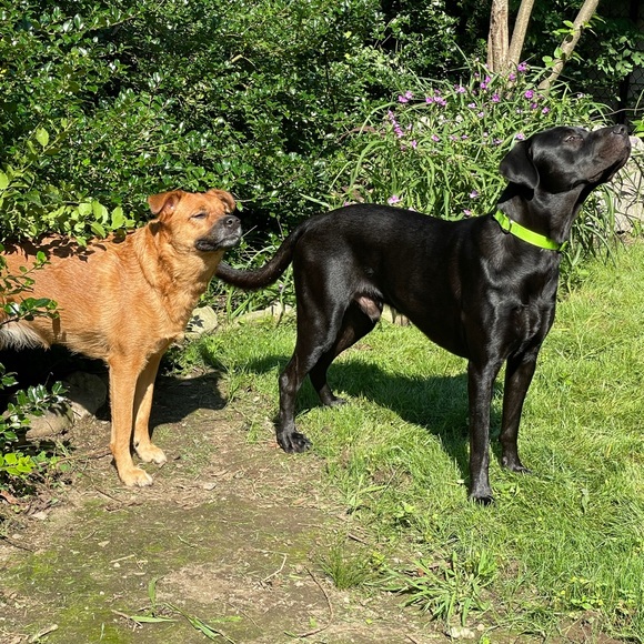 🤸‍♀️📬📮SHIP NEXT BUSINESS DAY!📮📬🤸‍♀️ - Picture 8 of 10